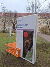 Ausstellung Biodiversität am Campus
