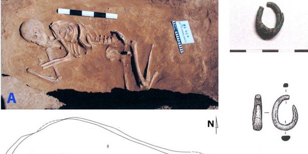 Photo of Remontnoye (3766-3637 calBCE). A carcass, embedded in the ground.
