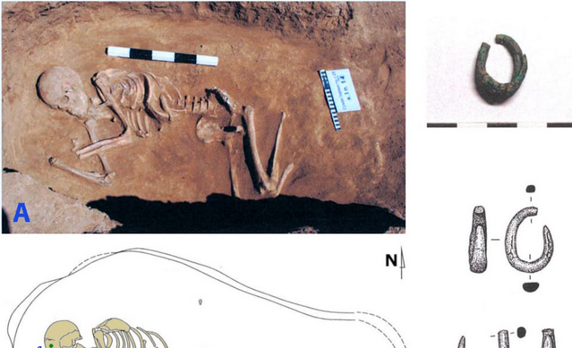 Photo of Remontnoye (3766-3637 calBCE). A carcass, embedded in the ground.