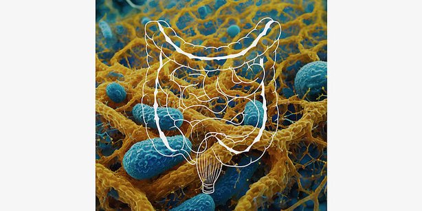 Darmbiofilme 