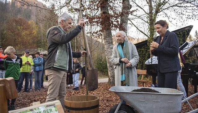 Jane Goodall und Sonia Kleindorfer beim Pflanzen eines Baums.