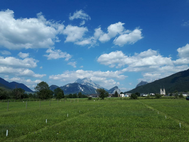 Bild vom Langzeitexperiment zu Nährstoffmangel im Grünland an der landwirtschaftlichen Forschungsstation Raumberg-Gumpenstein in Admont.