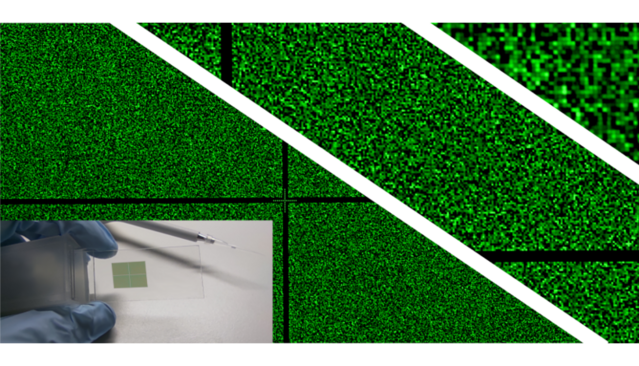 Ein hochdichter RNA-Mikrochip