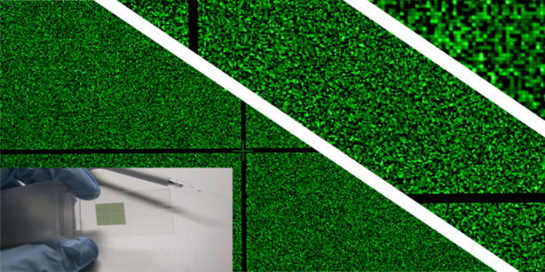 Ein hochdichter RNA-Mikrochip