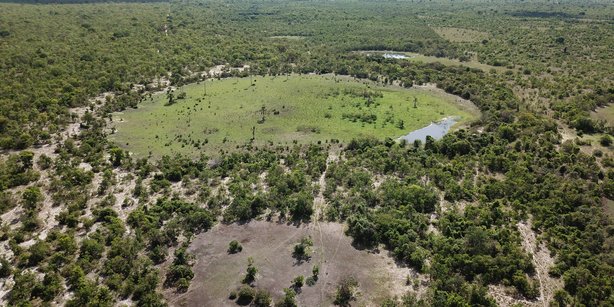 Picture of a "fairy circle" in the São Francisco Basin in Brazil.