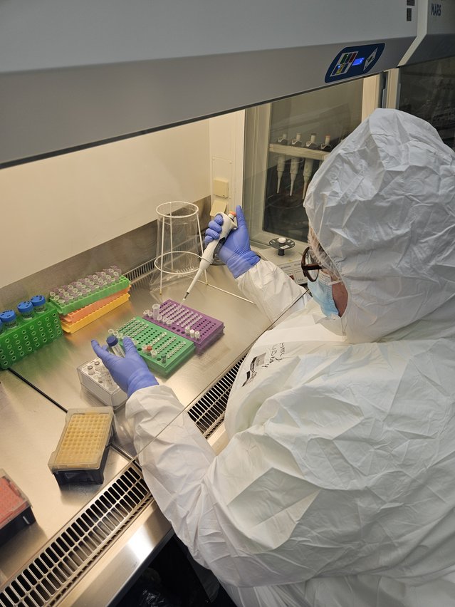 Picture of one of the authors at work in the contamination-controlled ancient DNA laboratory at the University of Tartu.