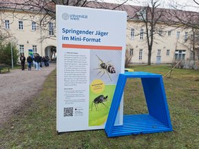 Ausstellung Biodiversität am Campus