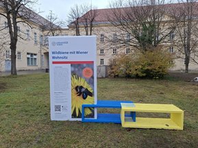 Ausstellung Biodiversität am Campus