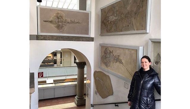 Paläobiologin Julia Türtscher