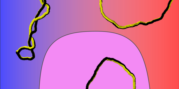 A sketch of the conformations of supercoiled ribbons in dependence of the electric charge.
