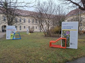 Ausstellung Biodiversität am Campus