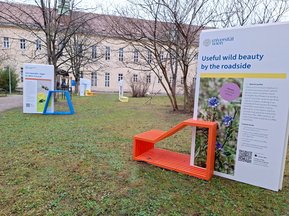 Ausstellung Biodiversität am Campus
