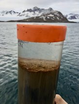 Picture of a habitat of MISO bacteria - Marine sediment