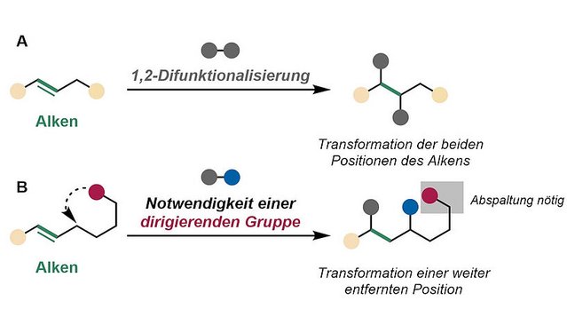 Alkene-Struktur
