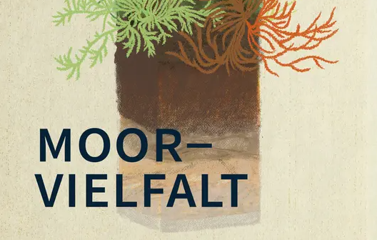 Cover für den Podcast Moorvielfalt mit gezeichneten Moorpflanzen